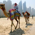 Правила поведения туристов в ОАЭ